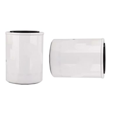 1000395855 WB202G Φίλτρο πετρελαίου για κινητήρα ντίζελ στο εσωτερικό του Hydwell