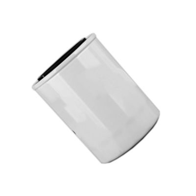 1000395855 WB202G Φίλτρο πετρελαίου για κινητήρα ντίζελ στο εσωτερικό του Hydwell