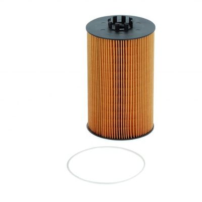 51055040108 Φίλτρο πετρελαίου για φορτηγό E422H D86/P550820/LF17056 HU13125X και προσιτό