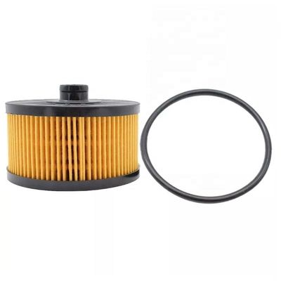 152095084R Hydwell Τμήματα κινητήρα φορτηγών Λουλούδια για ελκυστήρες άλλων τύπων