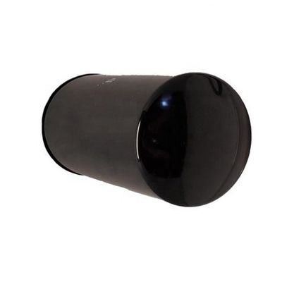 Τμήματα εκσκαφέα φίλτρο καυσίμου RE533910 P576926 DZ112918 WFS105056 για εξατομικευμένο φορτηγό