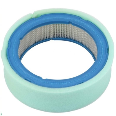 Τροχαίο φίλτρο αέρα για P530628 3I1779 LG394018 27151001 394018 Αντικατάσταση/επισκευή
