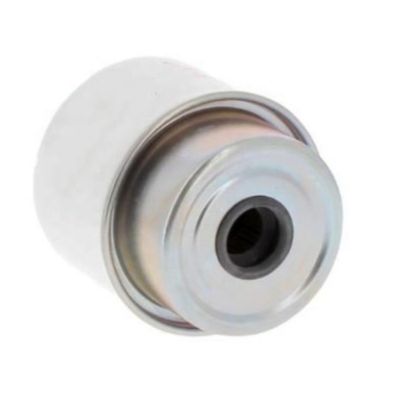 Φίλτρο καυσίμου P576918 για φορτηγό FS19838 SN 70162 FS19573 WK8118 FGO552 RE60021 6005025926 330560552